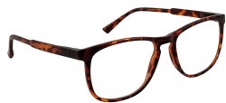 JMG8 | Classic Havana taille 51
