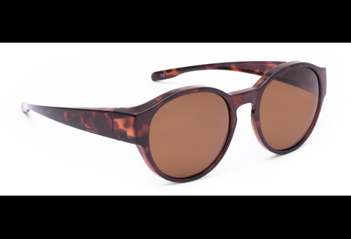 Lunettes de soleil transfert petites rondes - Havane