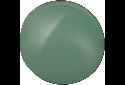 Shoptic Verres plans en polycarbonate - Vert gris foncé (G 15)