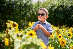 Charly Duo Styles Earth havane/Bleu foncé, taille 40