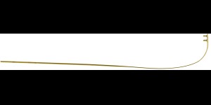 Branche monobloc pour lunettes en verre or 1,6mm large 1 paire