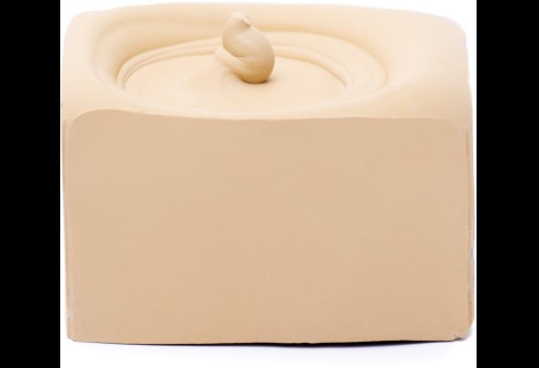 Cire brillante, beige