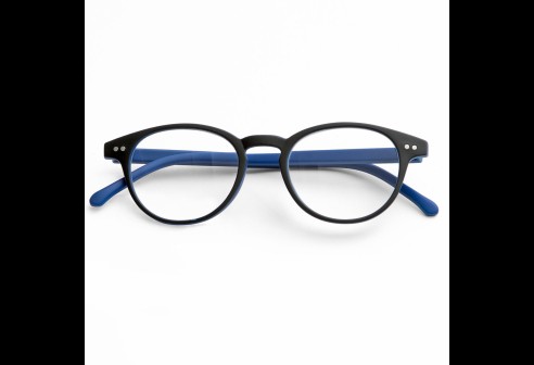 LLunettes de lecture en plastique gris / bleu +1.00