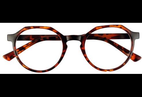 JMG1 | Classic Havana taille 46