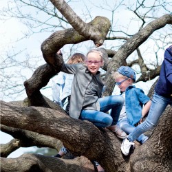 Michele fuchsia/rose, taille 45