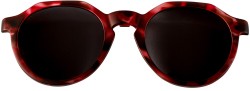 VOORVERKOOP Billie Duo Styles berry havana/blackberry, maat 42
