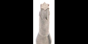 Reservestiften Torx maat 5