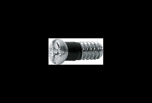 Kruiskop/gleuf-schroef zilver Ø 1,4 lengte 3,9 mm