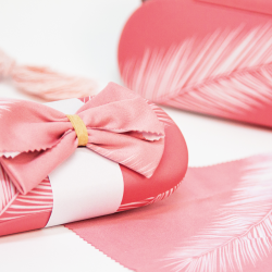 Etui Feather Rose met microvezeldoekje