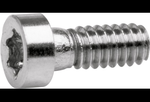 Torx 3 schroef zilver Ø 1,2 lengte 3,9 mm