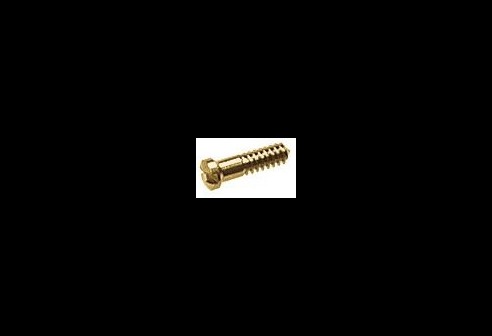 Gleufschroef goud Ø 1,0 lengte 4,0 mm