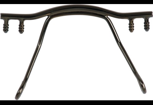 Brug voor glasbrillen gun