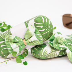 Etui Monstera met microvezeldoekje