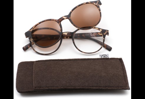 Leesbril kunststof met zonneclip