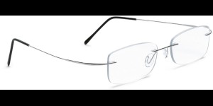 Glasbril van Beta-titanium met Monoblockveren, zilver