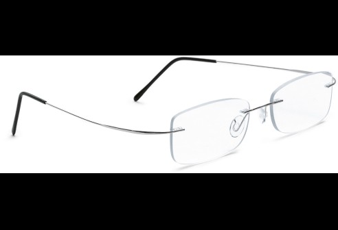 Glasbril van Beta-titanium met Monoblockveren, zilver