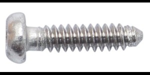 Torx 2 schroef zilver Ø 1,0 lengte 4,5 mm