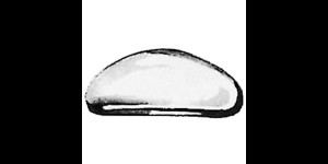 Padplaatjes om te kitten