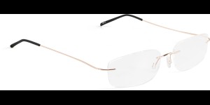 Glasbril van Beta-titanium met Monoblockveren, goud