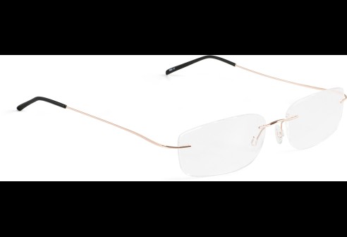 Glasbril van Beta-titanium met Monoblockveren, goud