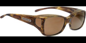 Jonathan Paul Dahlia, Tiger Eye Brown, M