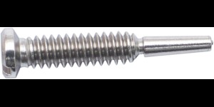 Gleufschroef zilver Ø 1,4 lengte 5,5/8,5 mm