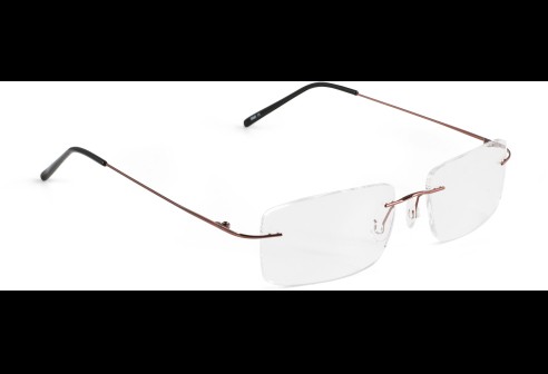 Glasbril van Beta-titanium bruin