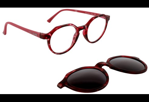 VOORVERKOOP Billie Duo Styles berry havana/blackberry, maat 42