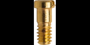 Ray-Ban scharnierschroef goud Ø 1,2