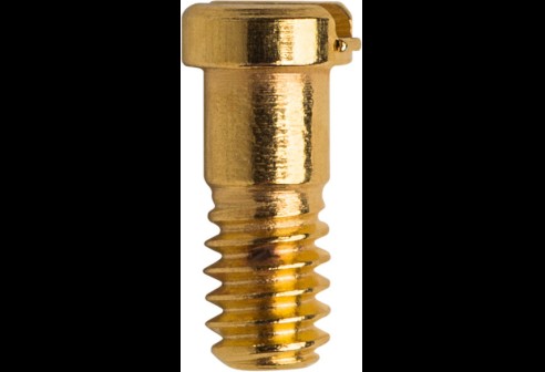 Ray-Ban scharnierschroef goud Ø 1,2